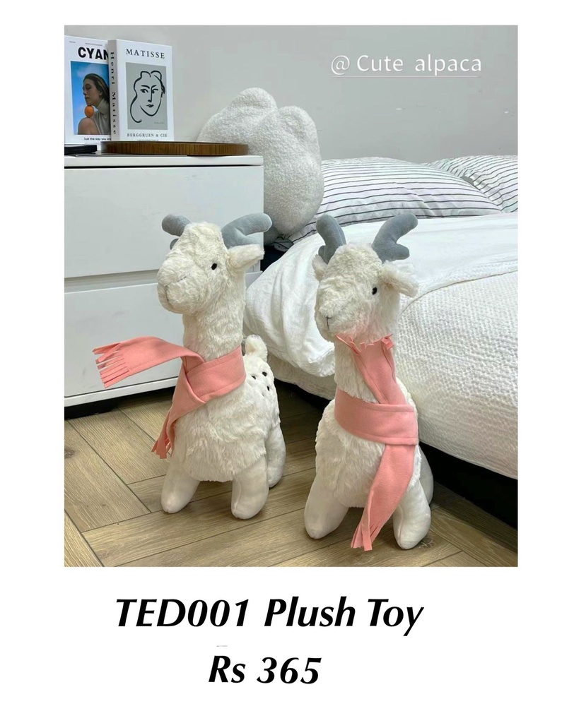 Plush Toy